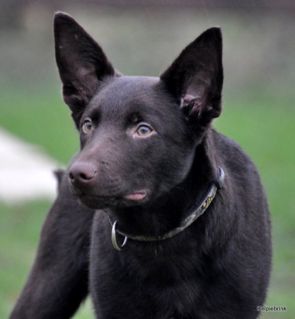 spike 14-02-2011